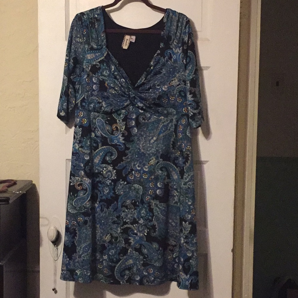 Lucie Lu paisley green and blue dress 1x